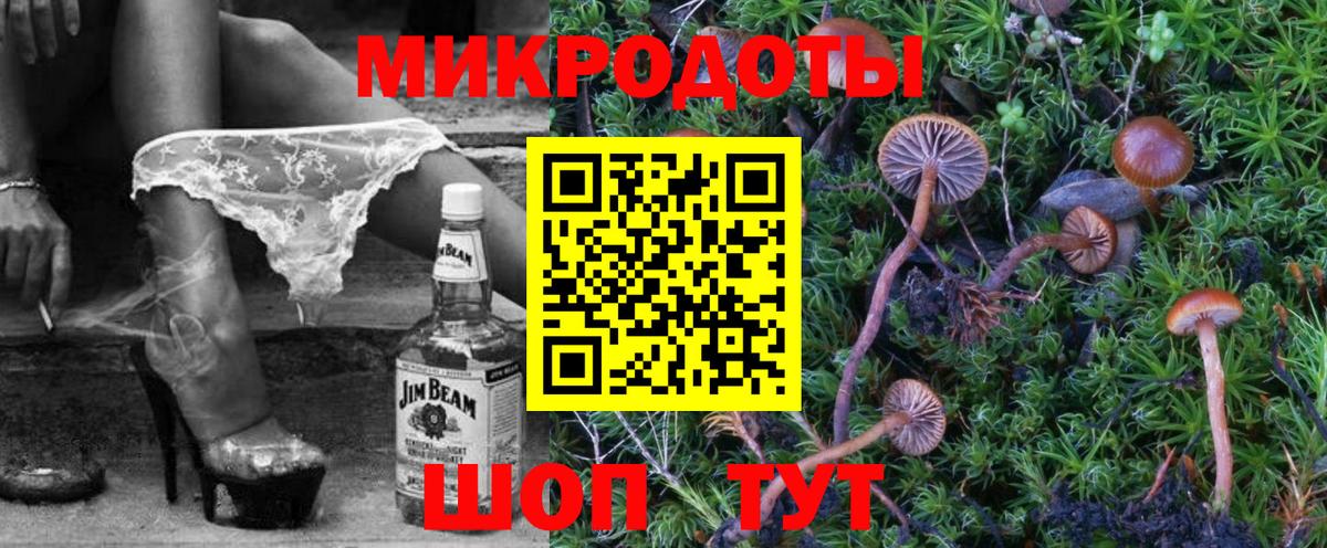Псилоцибиновые грибы мицелий Краснокаменск